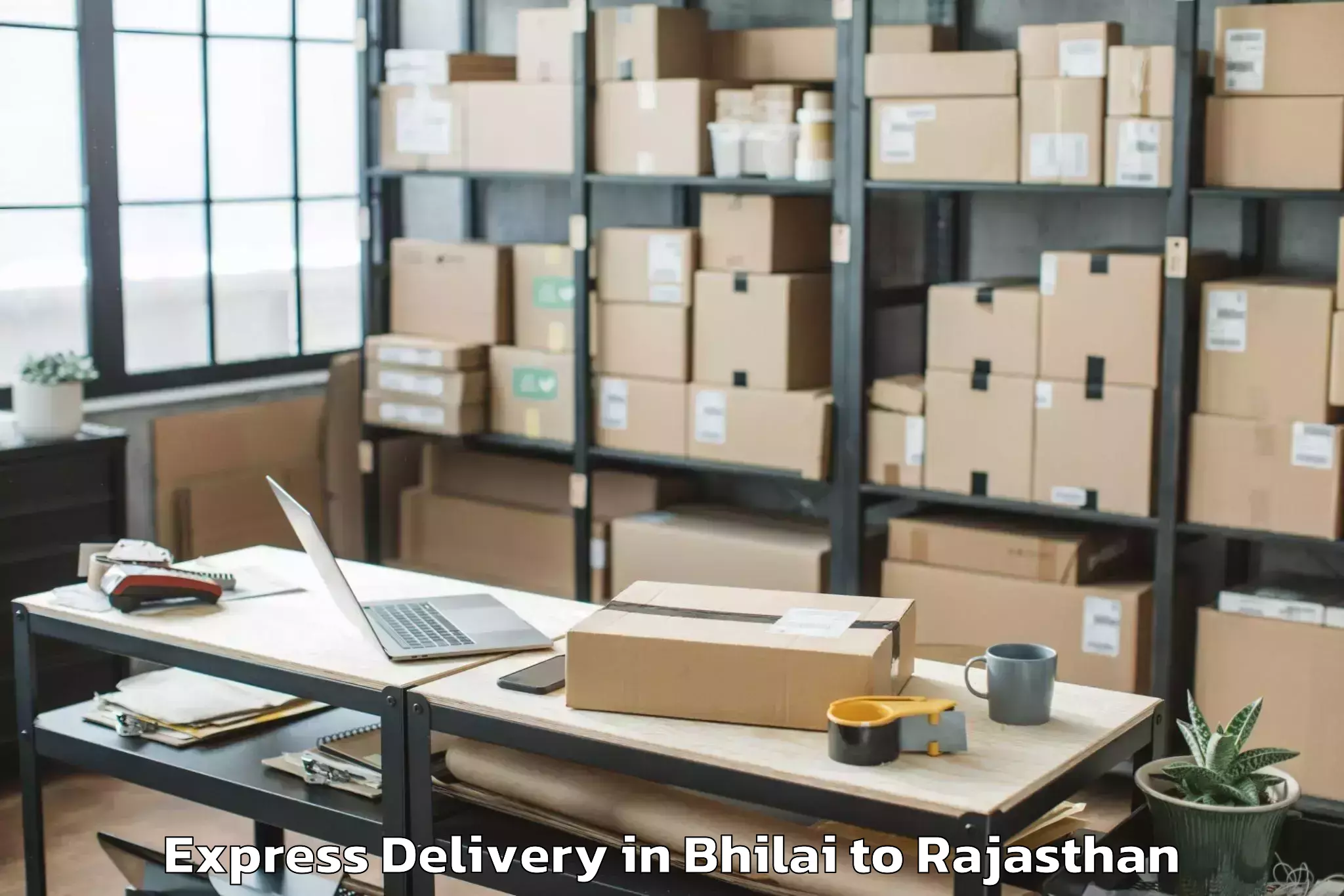 Discover Bhilai to Asind Express Delivery